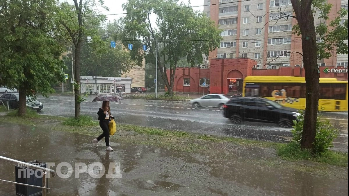 Гроза и сильный ветер обрушатся на Ярославскую область