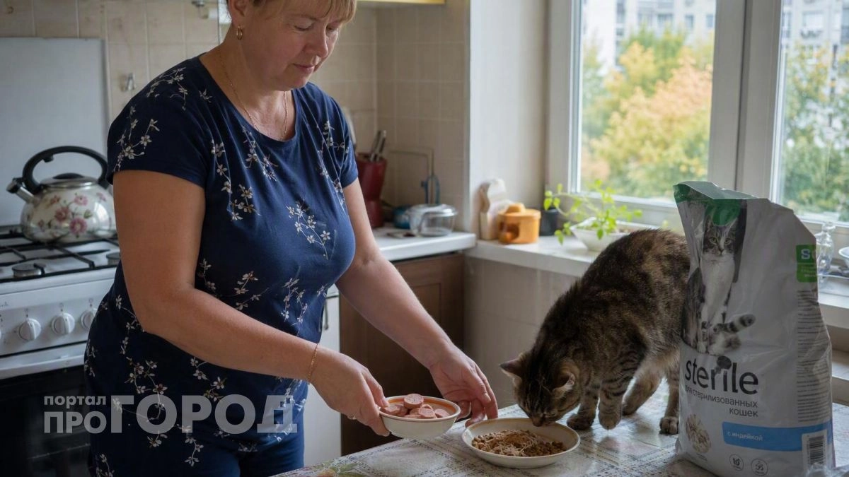 Ваша кошка воротит нос от миски: эксперт назвал одну привычку владельцев, которая портит аппетит питомцу
