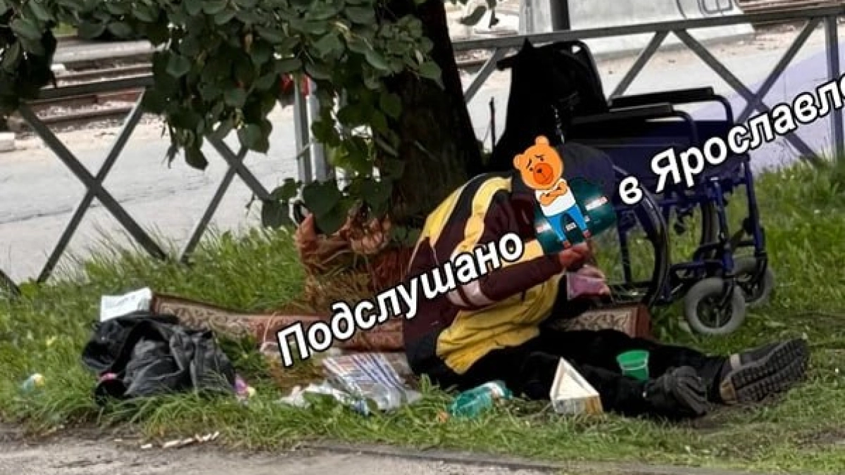 В Ярославле на перекрестке Чкалова и Юности снова появился лагерь бездомного