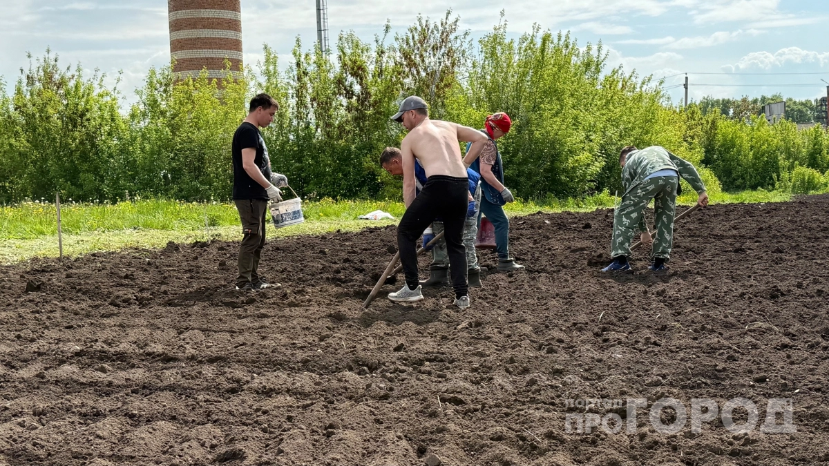Лопата и грабли доведут до суда: какой способ обработки земли грозит дачникам уголовной ответственностью