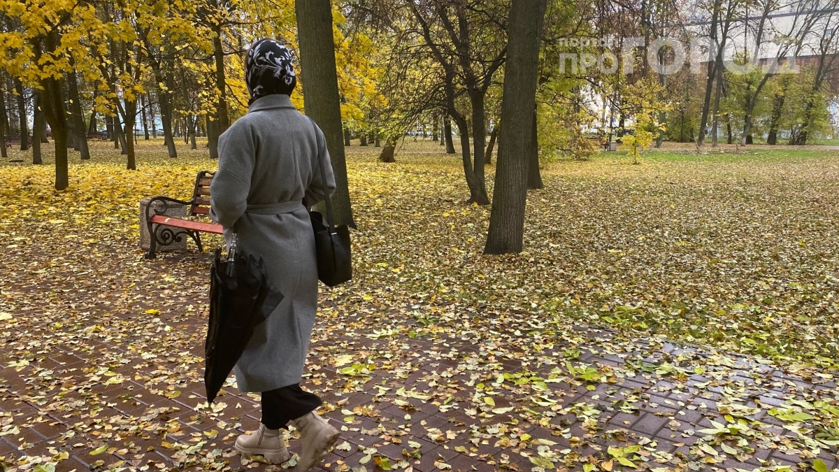 Арктический холод на подходе: когда в Центральной России будет снег и заморозки