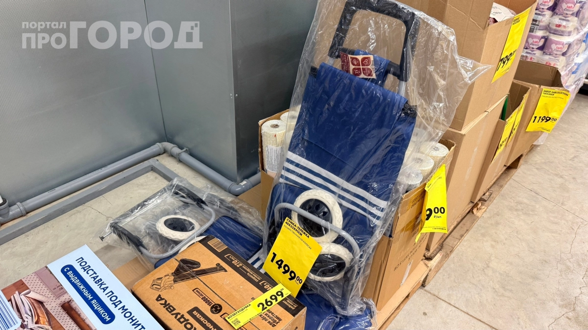 Купила сумку‑тележку в „Чижике“, но не для продуктов: в августе она стала главным помощником на даче — вот почему