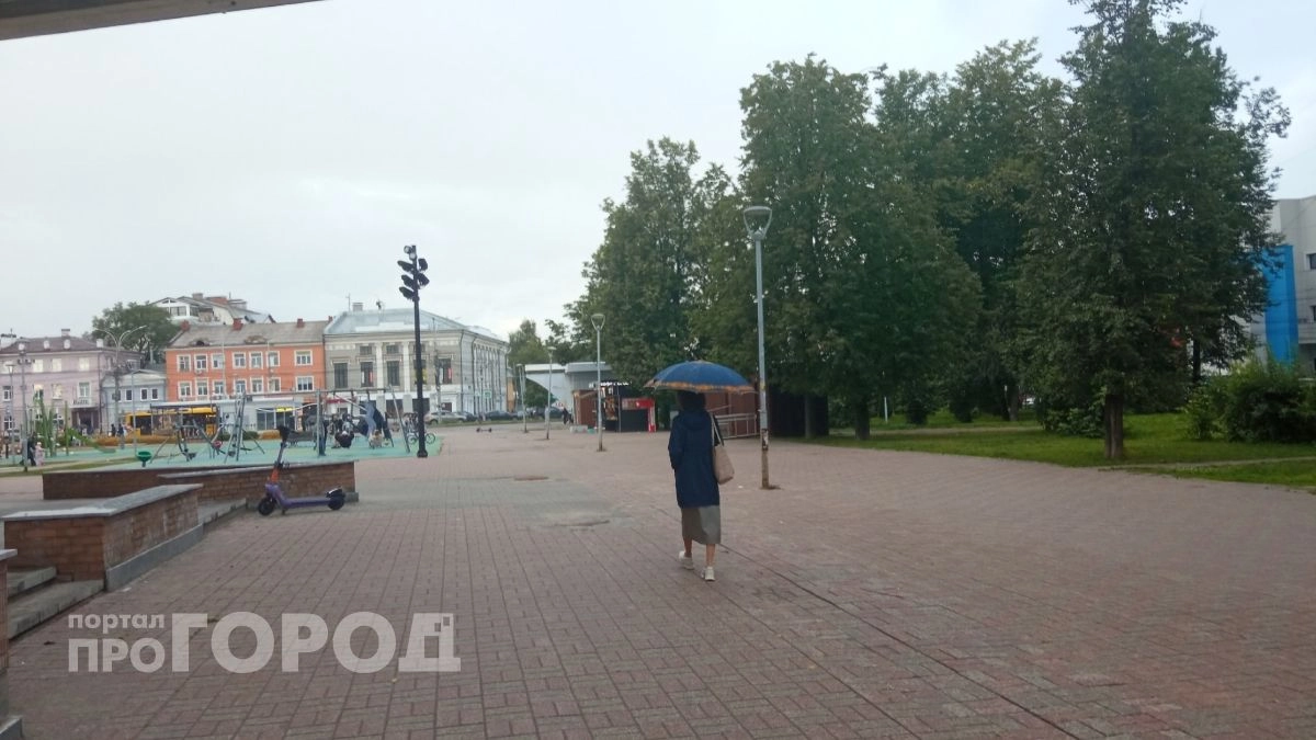 В Ярославской области ожидаются заморозки до -1 градуса