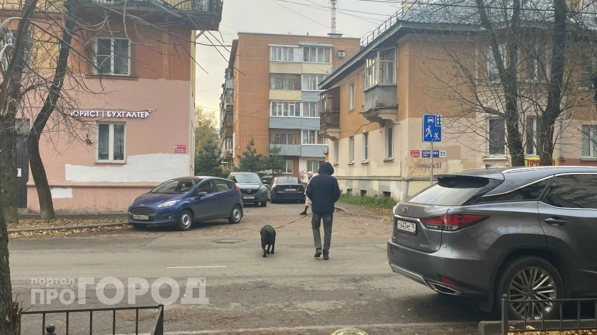 Производитель вакцины пообещал поддержку хозяевам погибших ярославских собак