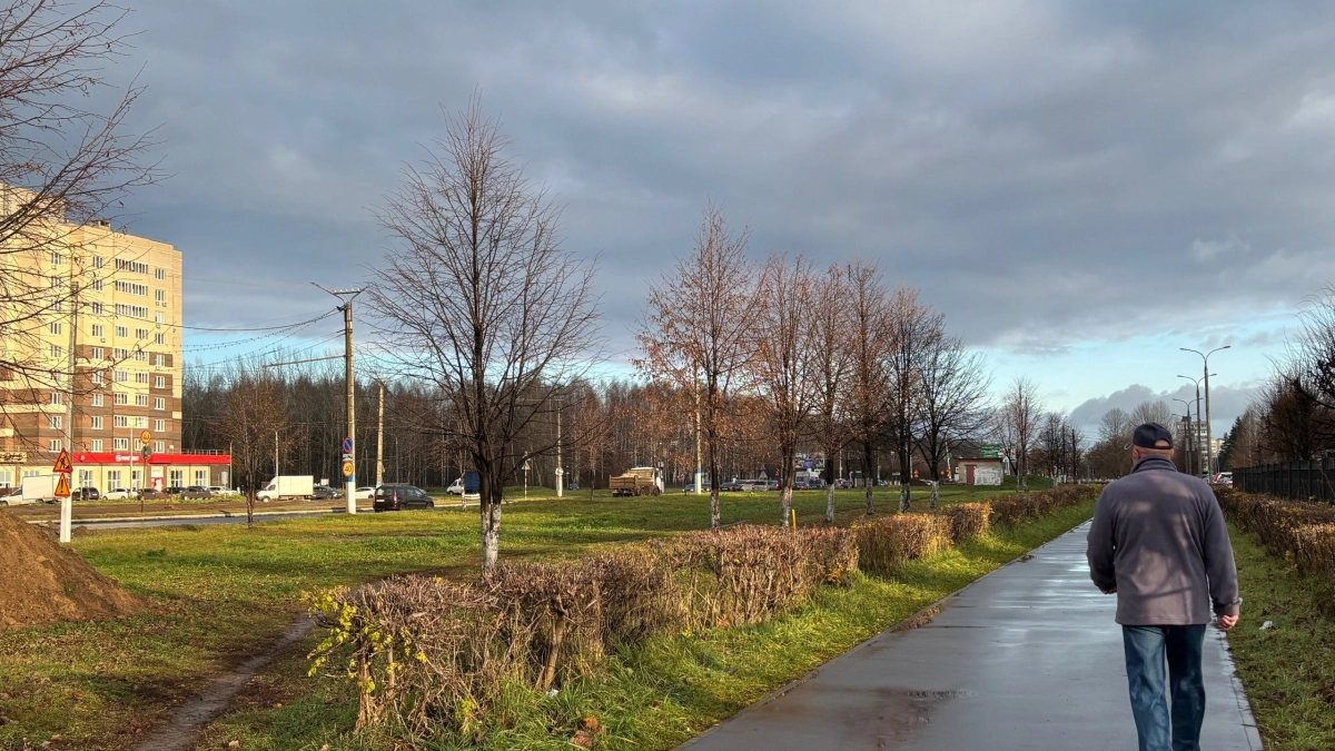 Водолеям откроется новая перспектива, а Близнецам звёзды советуют не упустить редкий шанс