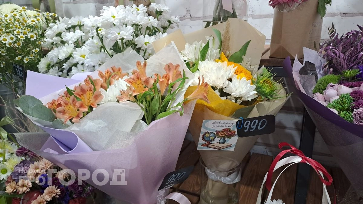 Ярославские учителя про отказ от букетов на 1 сентября: «Не надо нести огромные букеты»