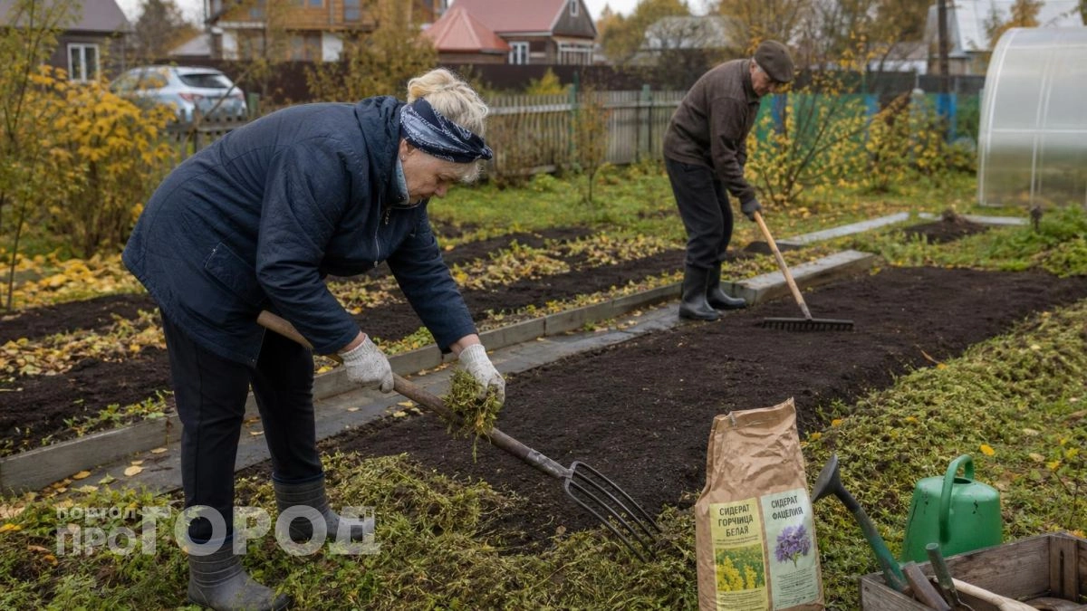 Забудьте про навоз под морковь: внесите эти два средства осенью и собирайте урожай размером с кулак