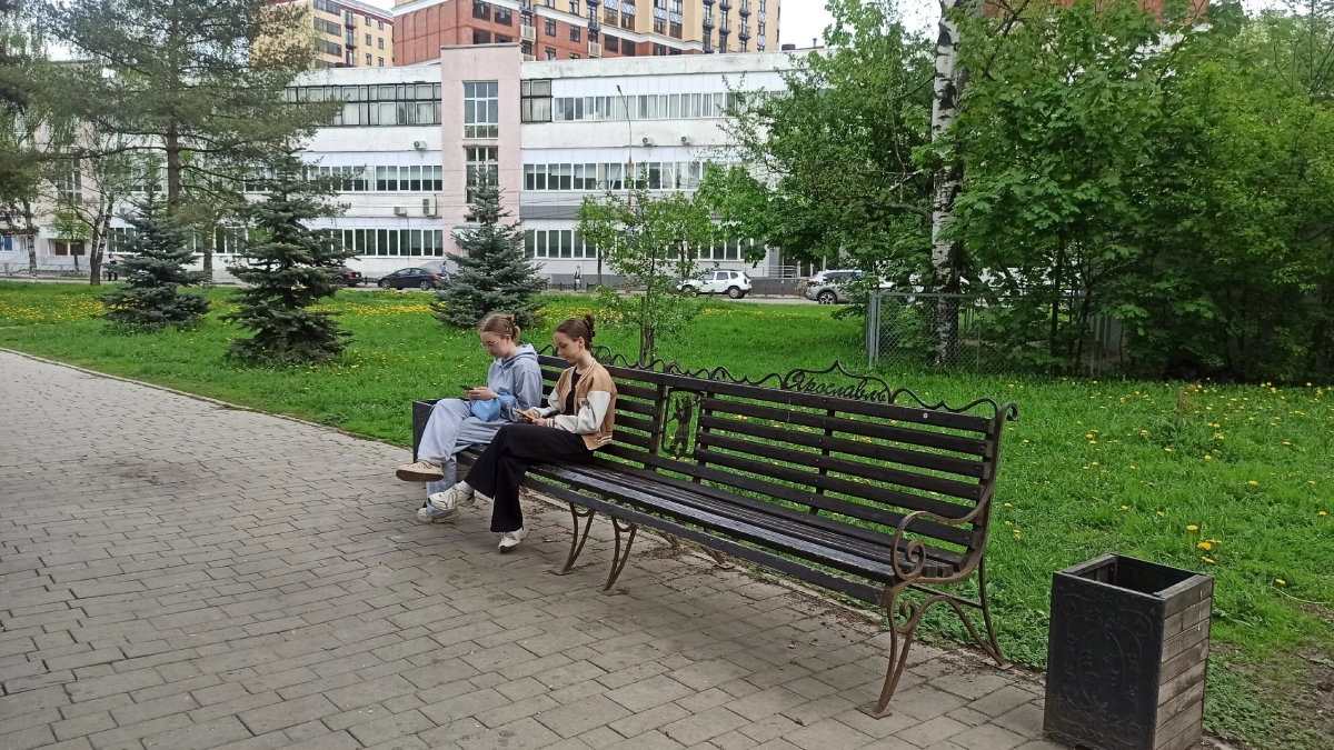 Ярославские родители смогут возместить ущерб от телефонных мошенников на 1,5 миллиона рублей