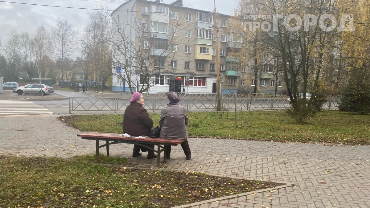 Бабье лето отменяется: почему в 2026 году природа обманет всех, кто ждал золотой осени