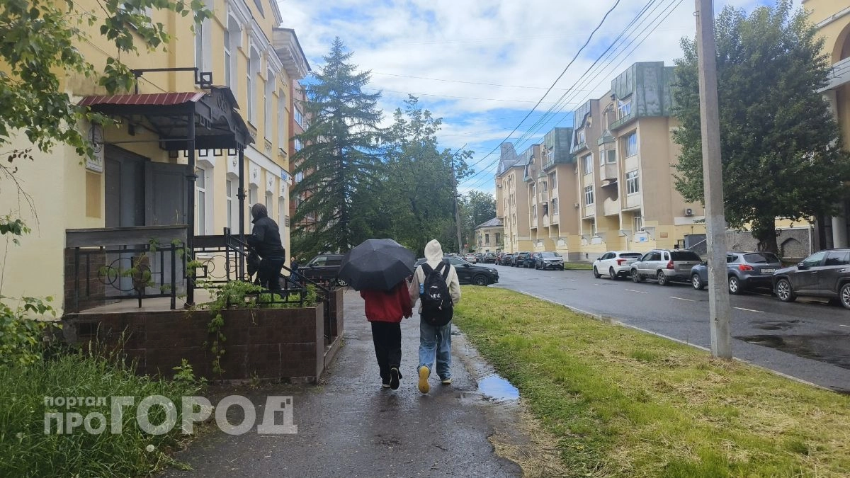 Грозы и сильный ветер накроют Ярославскую область 