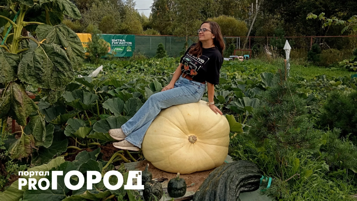 Огородница из Рыбинска раньше ненавидела грядки, а теперь ее 328-килограммовую тыкву выносят грузчики
