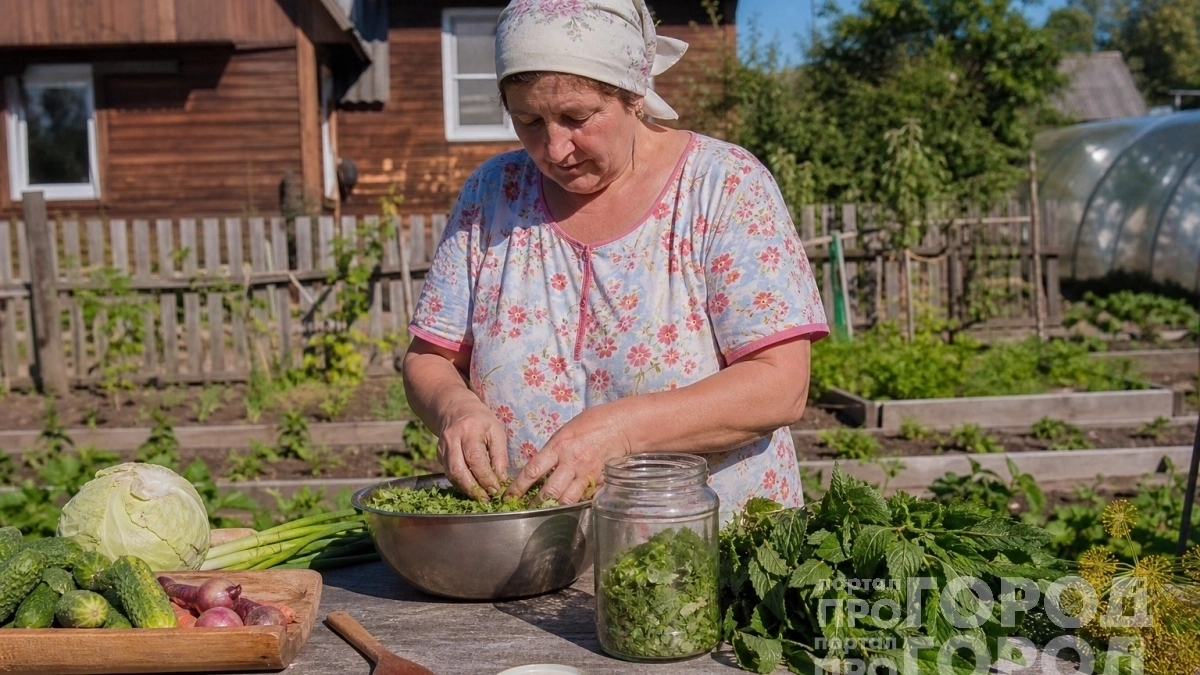 Больше не сушу базилик: перетираю его с солью и храню вкус лета в обычной банке всю зиму до весны