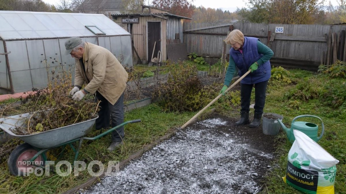 Больше не трачу время на десять подходов к грядкам: всего три простых шага осенью и почва готова к сезону