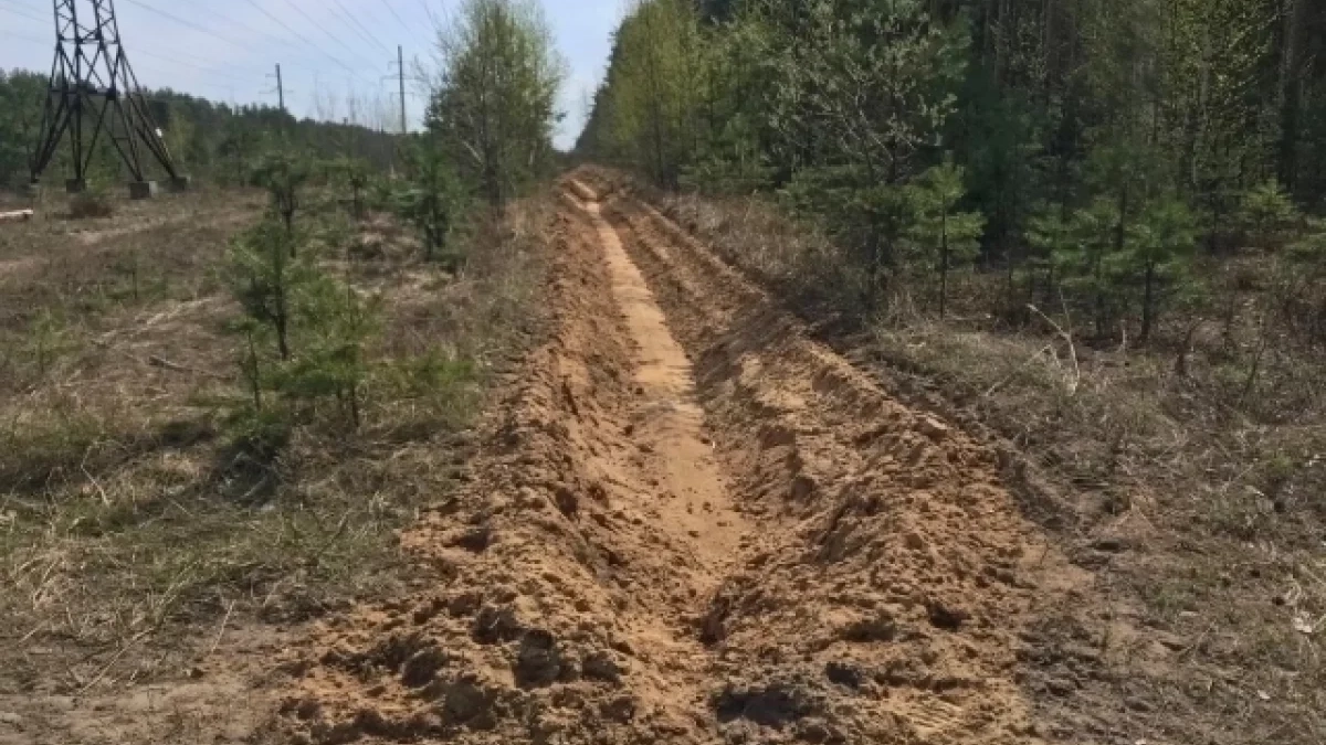 В лесах Ярославской области проложили 644 километра защитных полос от пожаров