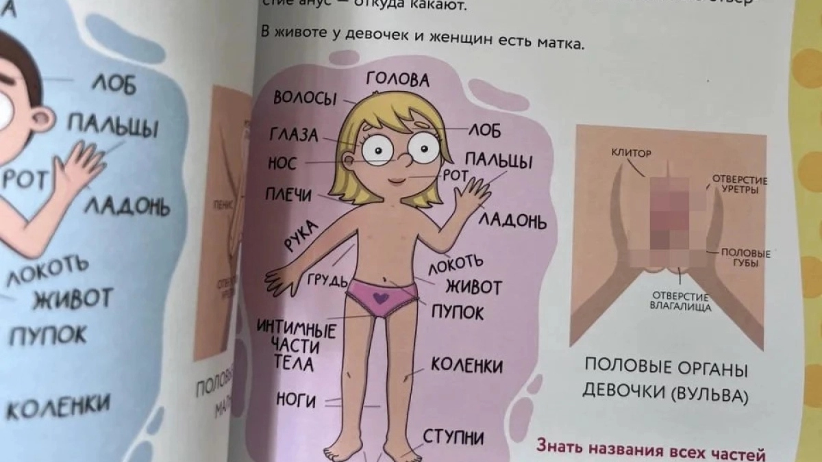 Для ярославских детсадовцев и школьников закупят книги по половому воспитанию