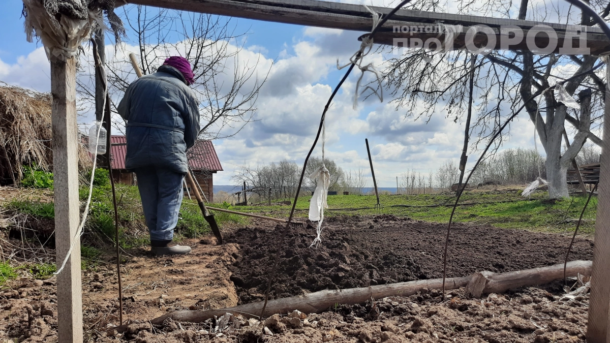 После Новолетия будет поздно: топ дел на участке, которые нужно успеть до 14 сентября — иначе потеряете урожай