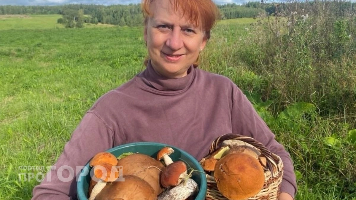 Ярославцы назвали самые грибные места в области: «Хожу туда с утра, пока все спят»