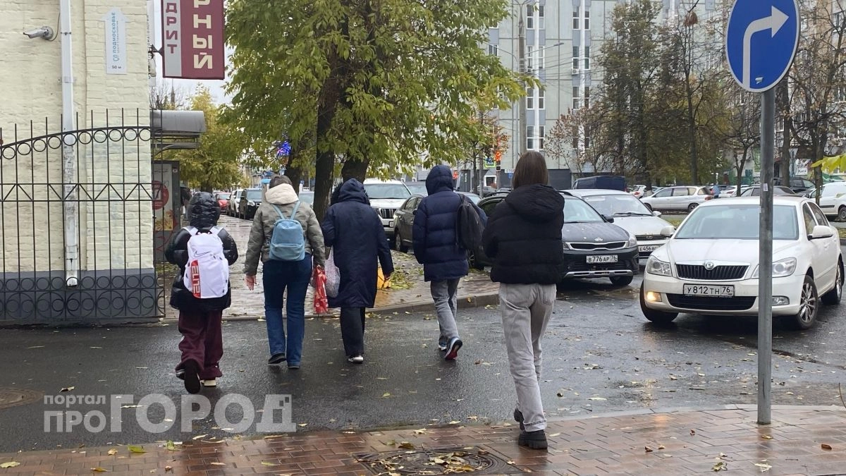 Стало известно, будут ли учиться ярославские школьники в день выборов 