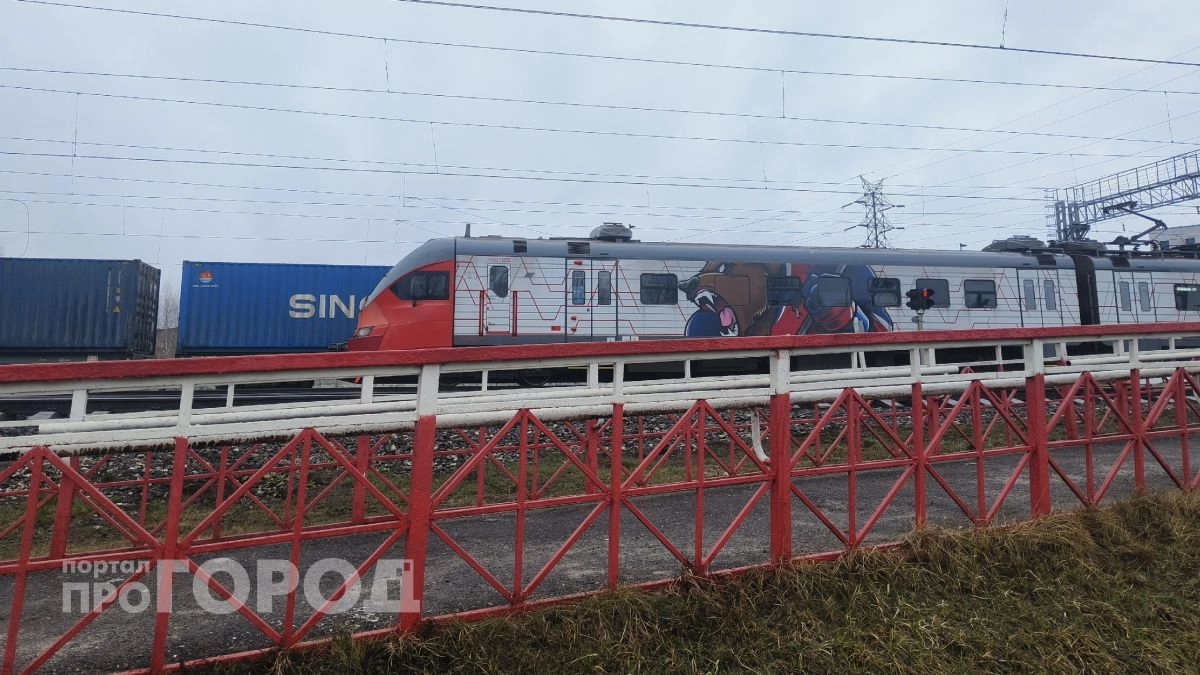Под Ярославлем пассажирский поезд насмерть сбил лося