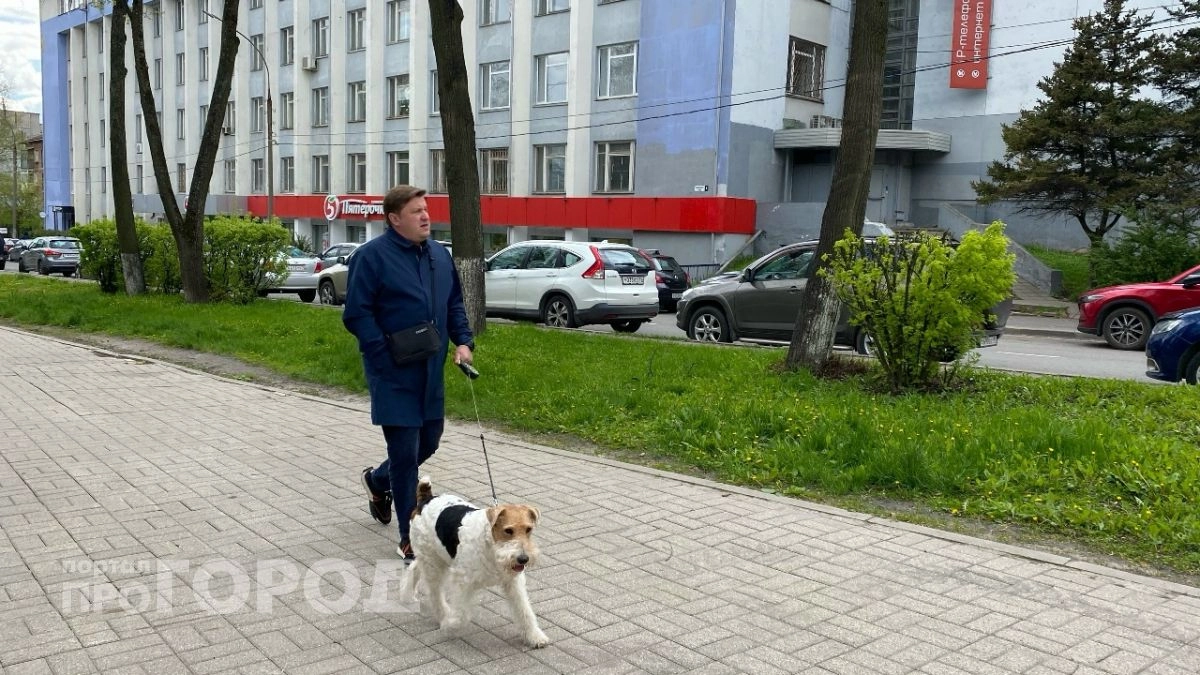 Ярославская область вошла в тройку выгодных регионов для отдыха с животными