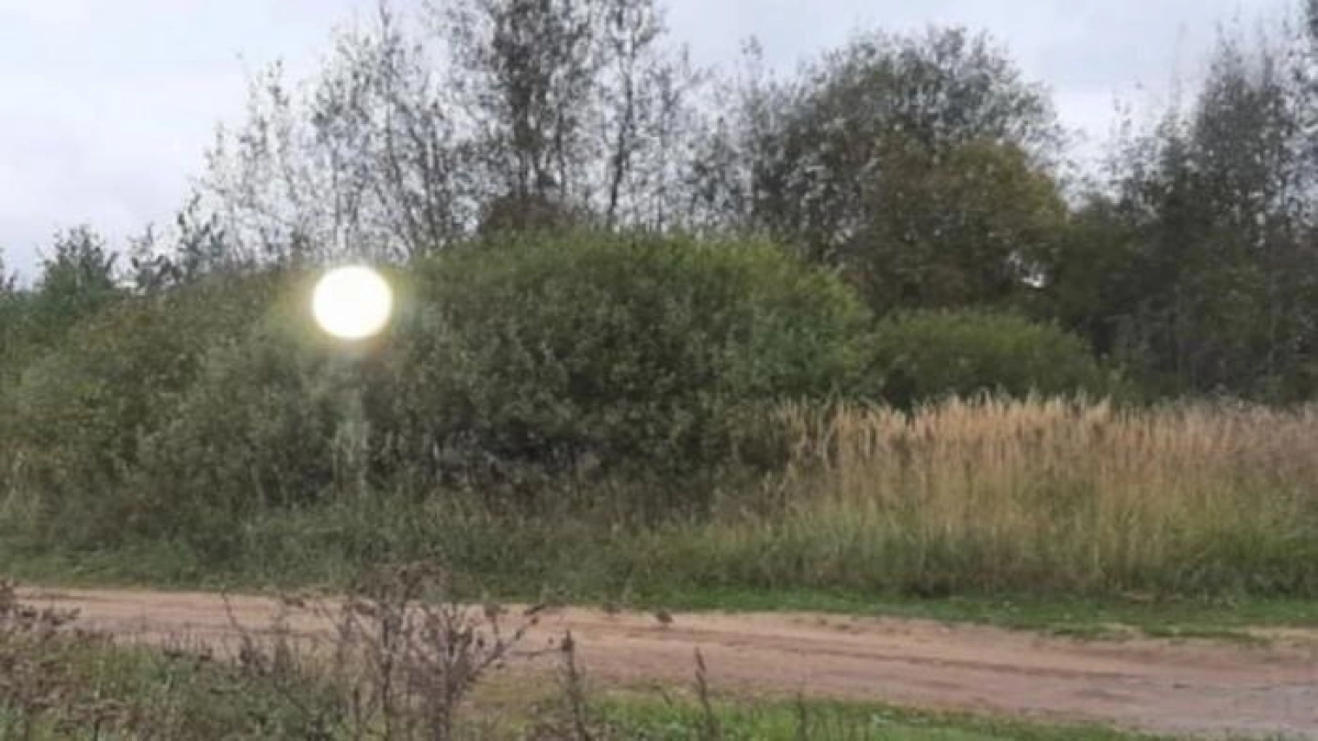 В деревне Родионово Ярославской области заметили светящийся шар