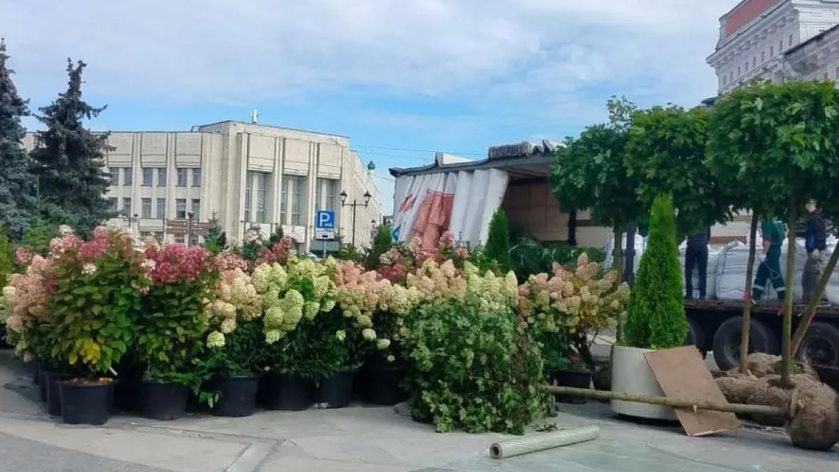 В Ярославле улицы Нахимсона и Андропова украсят мобильной зеленью