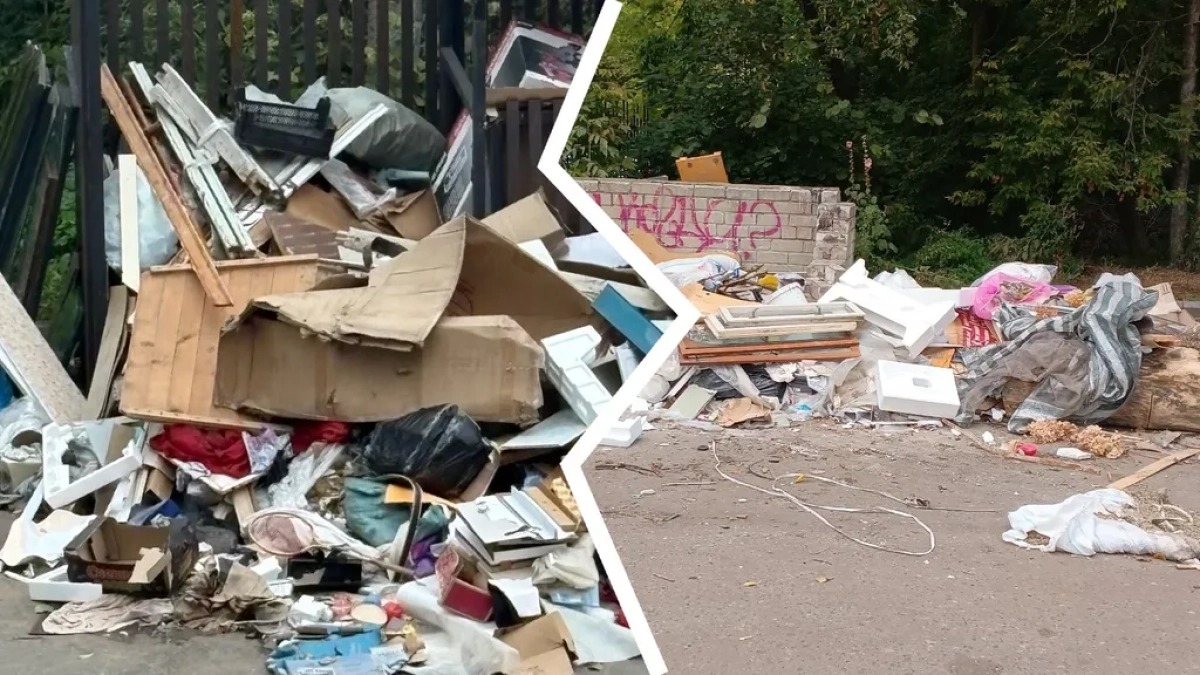 Во Фрунзенском районе Ярославля не хватило миллиона на вывоз нелегальных свалок