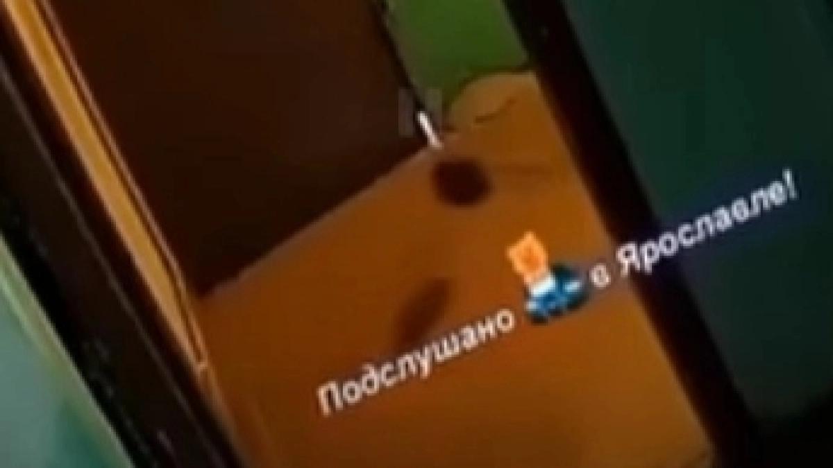 В Ярославле жильцы дома на Папанина бьют тревогу из-за крыс размером с кошек