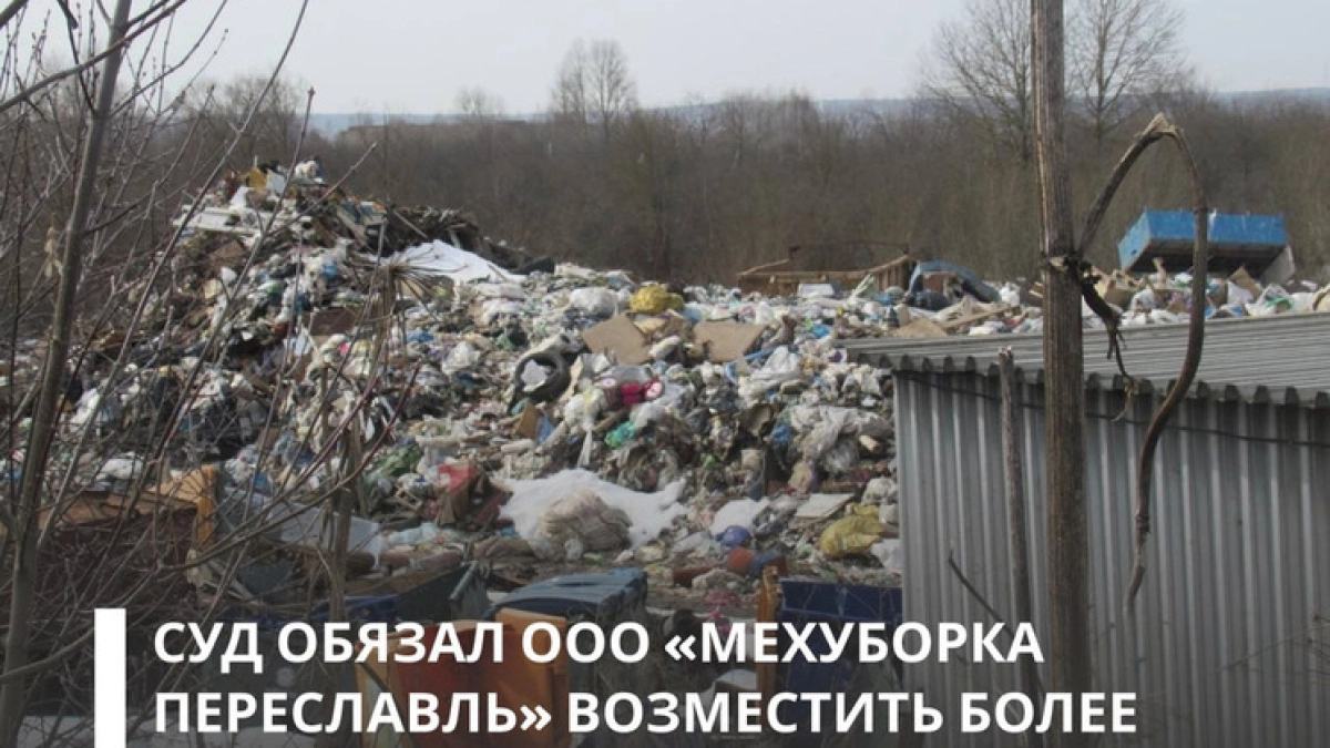 В Ярославской области оператора обязали выплатить 3,6 млн за свалку у нацпарка