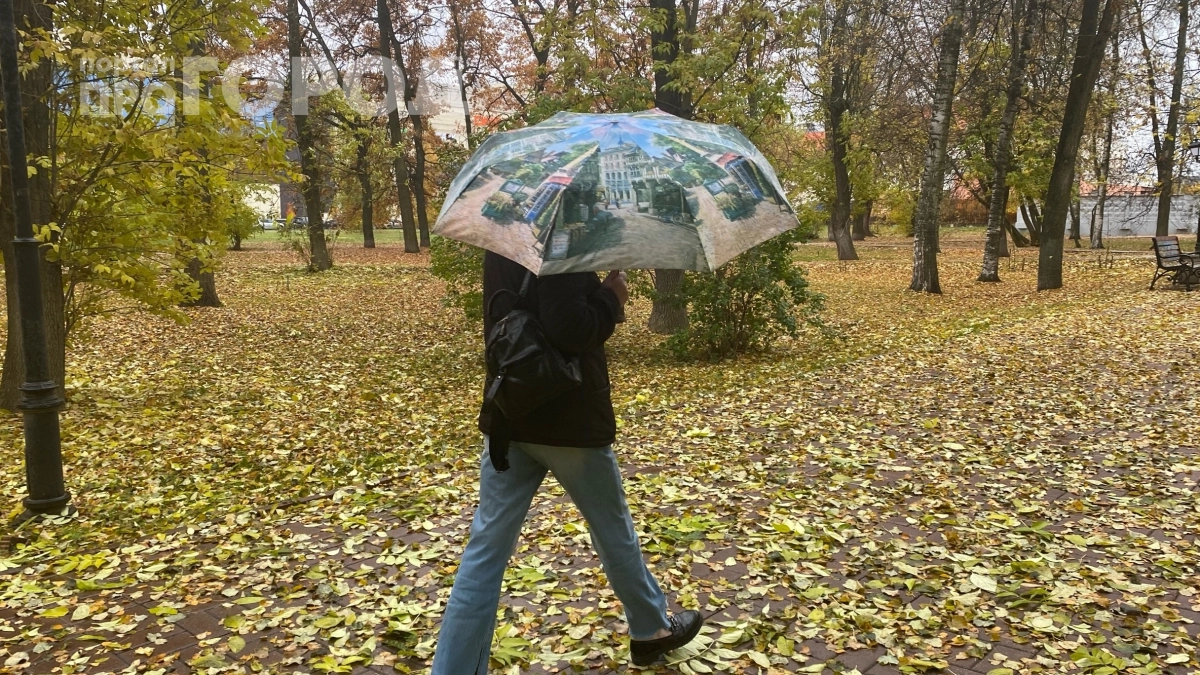 Золотой осени не будет: 3 причины резкого похолодания и первого снега в октябре