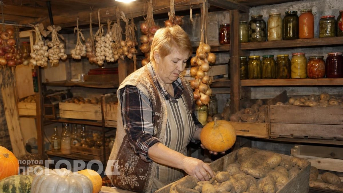 Урожай сгниет за считанные недели: 10 грубых ошибок при закладке овощей на зиму, которых легко избежать