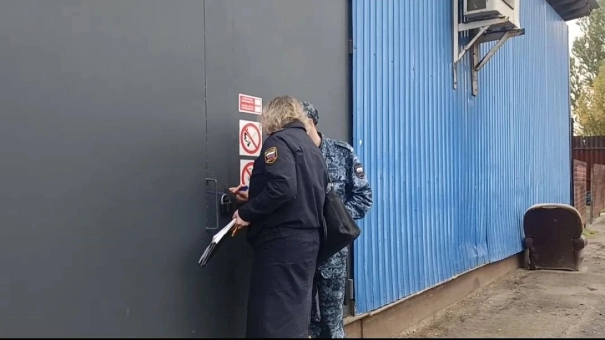 В Ярославле закрыли овощебазу: нашли рои мух и продукты без документов