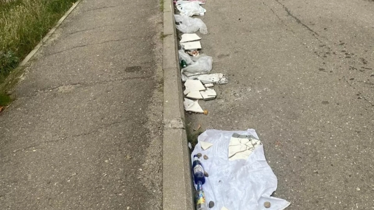 В Заволжском районе Ярославля женщина выкладывает на обочине мусорные "мемориалы"
