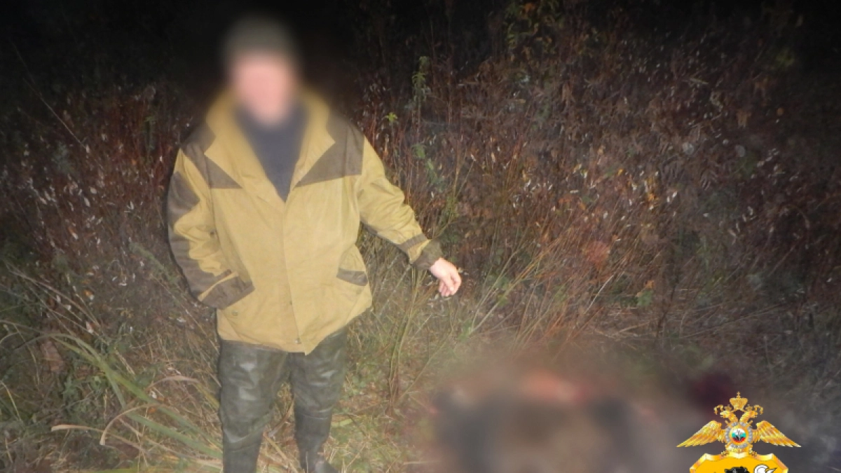 В Ростовском районе охотник вместо птицы застрелил лося и попал под уголовное дело