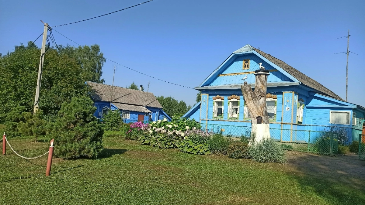 В Ярославском районе шестые сутки ищут ушедшую в галошах женщину