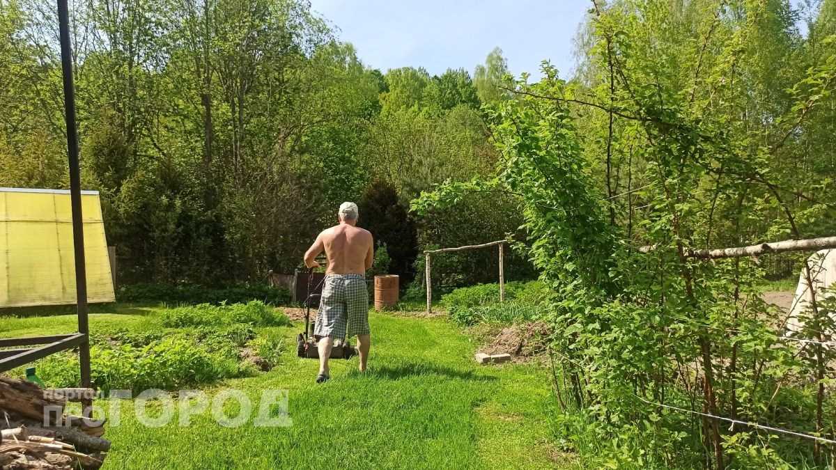 От трех тысяч до сотни: сколько стоит аренда загородного дома в Ярославской области
