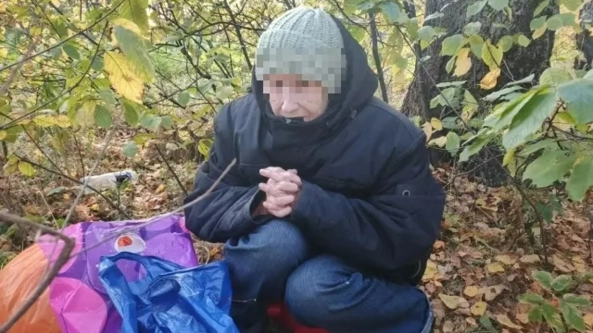 В Ярославле брошенная родными детьми пенсионерка ночует в кустах на Липовой горе