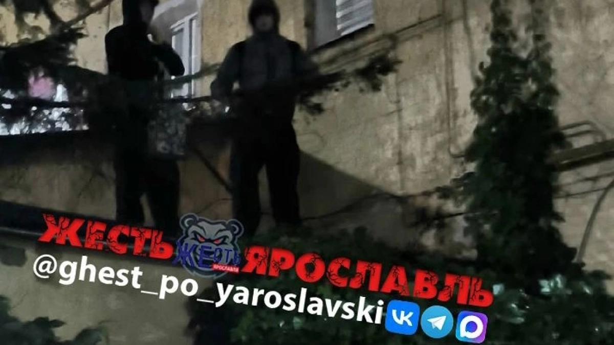 В центре Ярославля вандалы-граффитчики напали на сделавшую замечание женщину