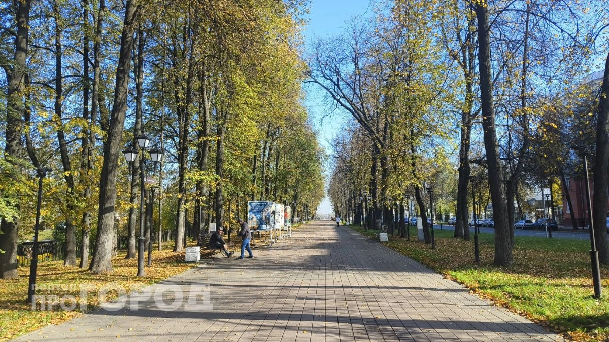 За пост главы Ярославля началась борьба: кто может выдвинуть своего кандидата