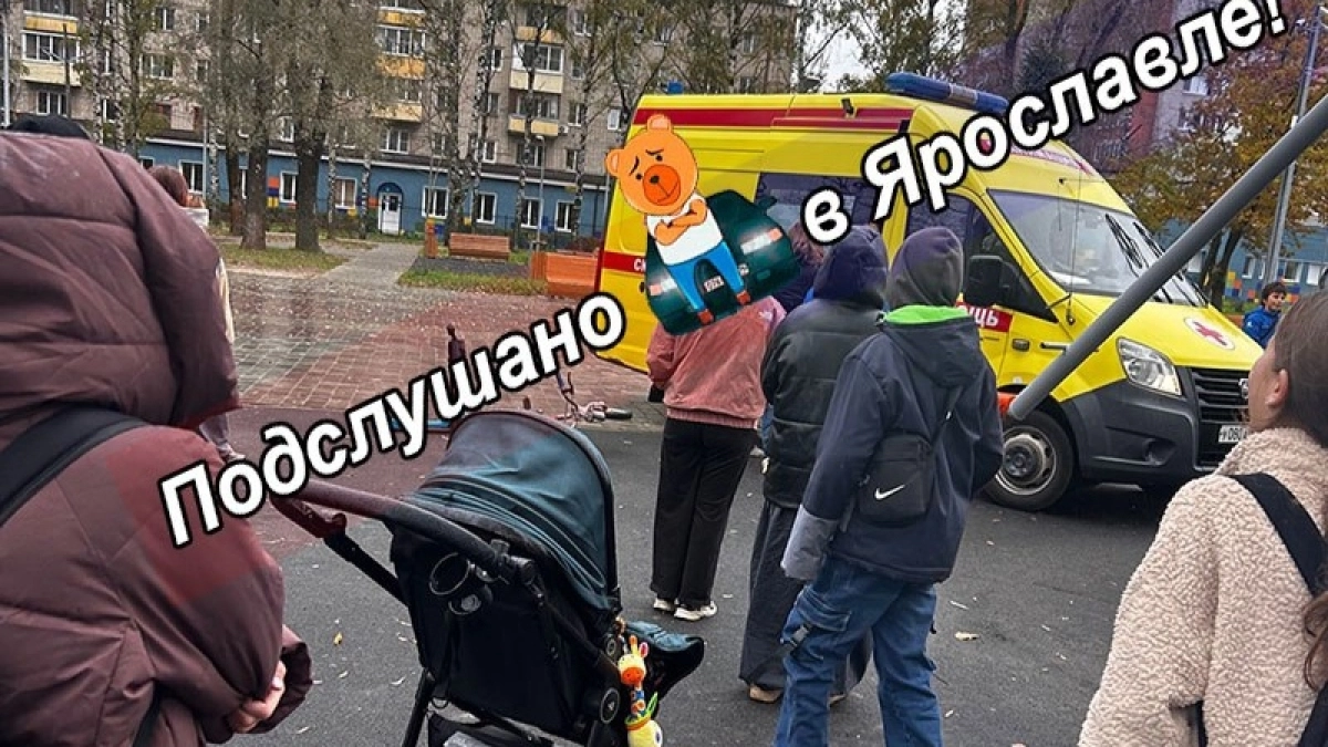 В ярославском парке на Очках девочка сорвалась с качелей и попала в больницу