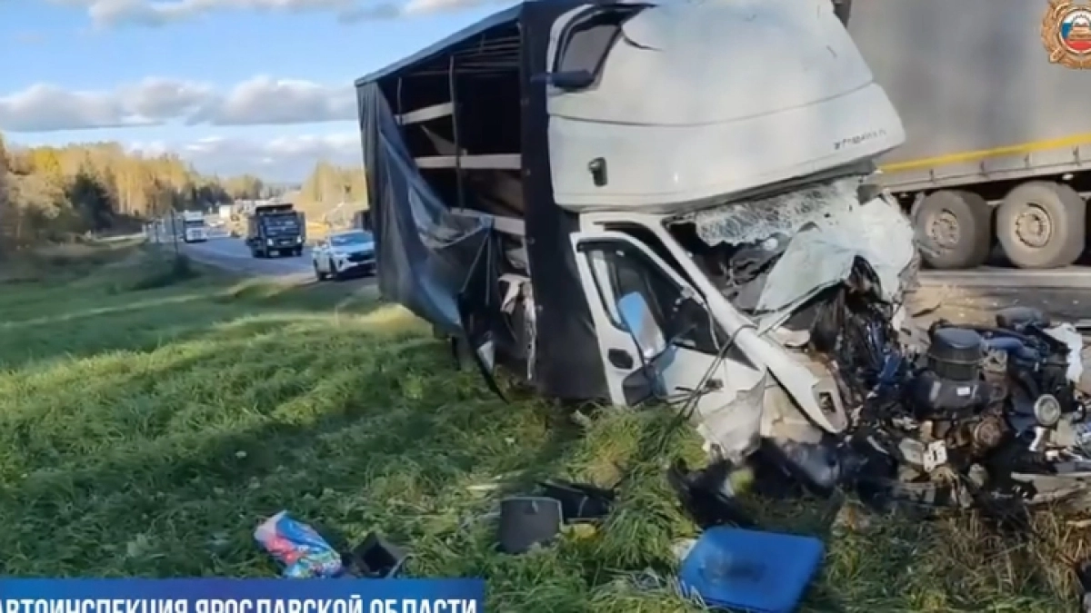 Смертельное ДТП на М-8 и скандал в детском саду: главные новости за 7 октября