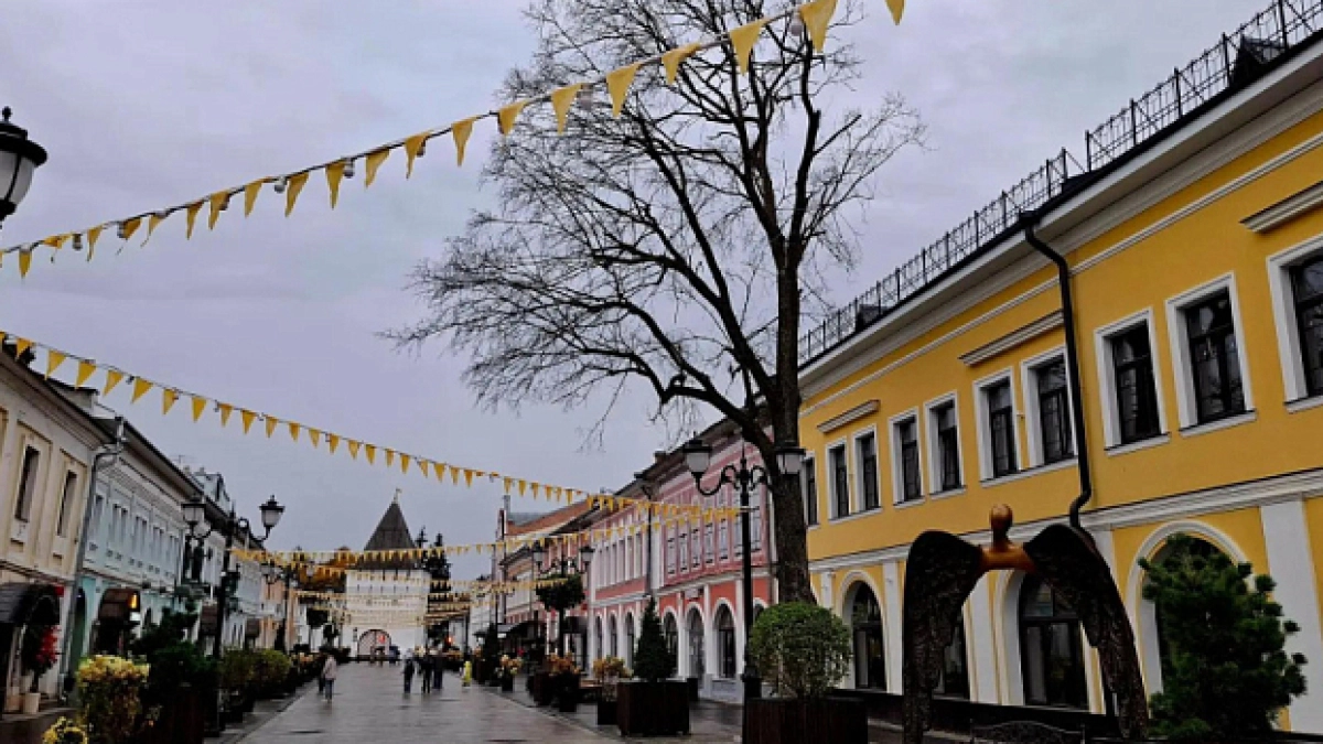 В центре Ярославля объяснили, почему сухое дерево на Нахимсона не убирают