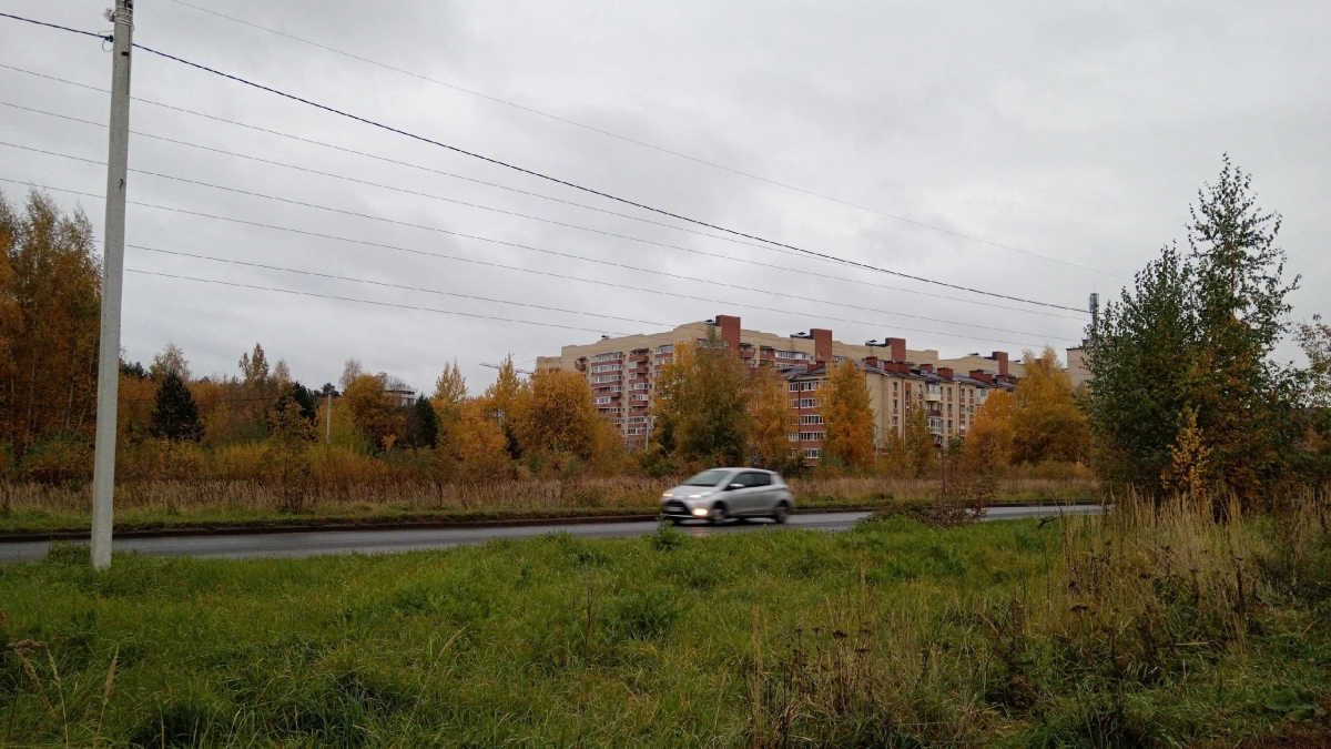 Бабье лето возвращается с размахом: синоптики обещают +20, но за этим теплом прячется подвох