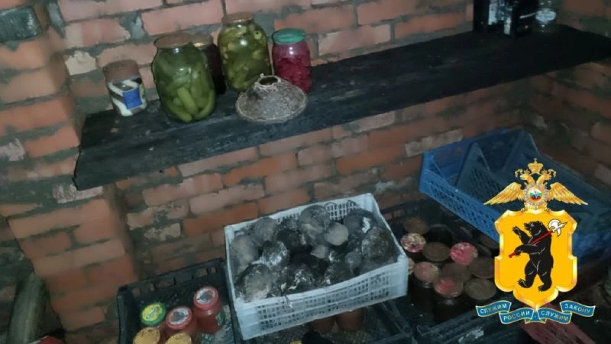 Под Рыбинском мужчина влез через крышу и вынес из погреба друга 20 бутылок спиртного и домашние заготовки