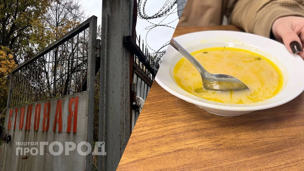Где в Ярославле обедают приставы, полиция и работяги: в столовой за колючей проволокой подают сырный суп