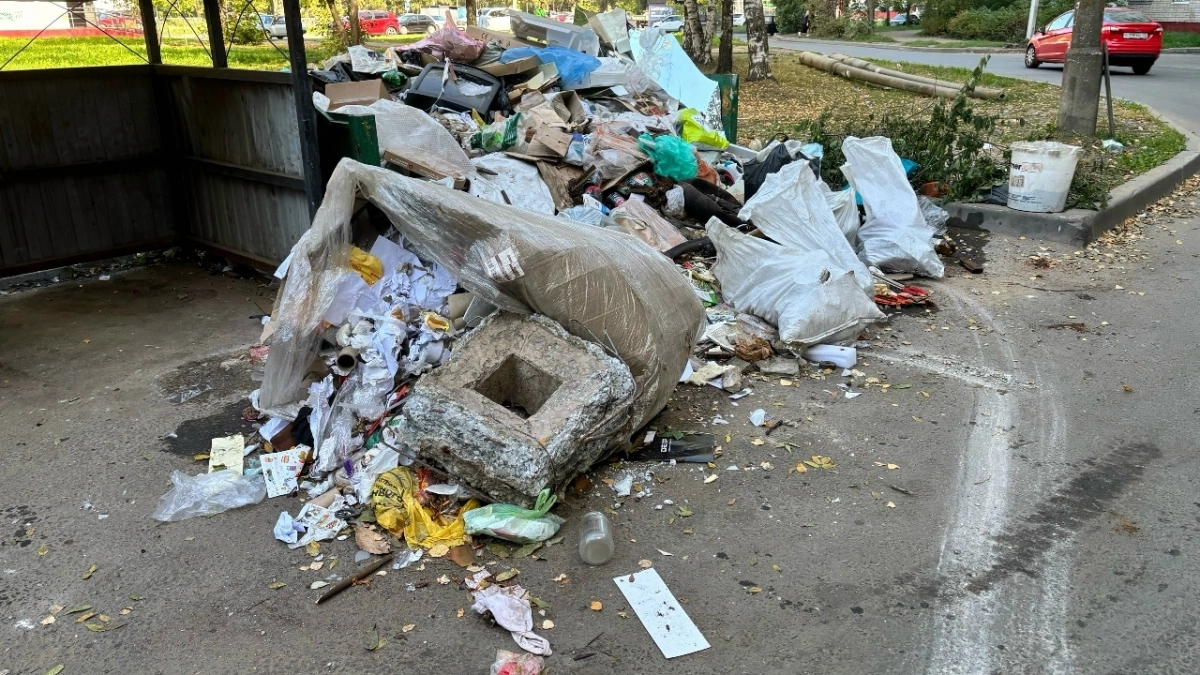 В Ярославле потратят 3,4 миллиона на ликвидацию свалок за 24 часа