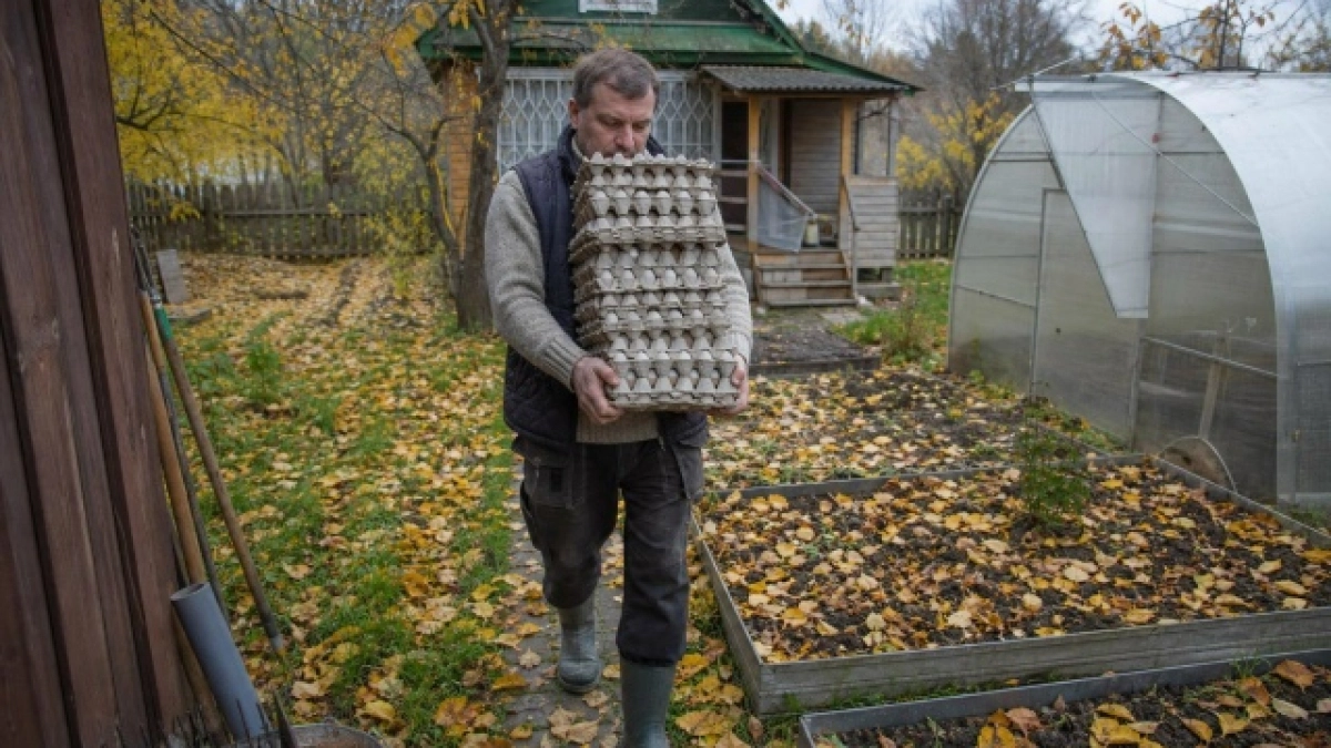 Яичные лотки - сокровище для дачников: как за один вечер заложить аккуратную тюльпановую клумбу