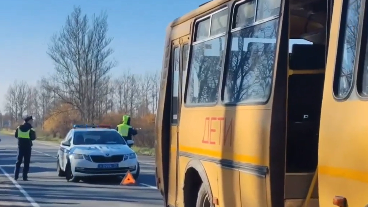 Под Ярославлем школьный автобус сбил переходившего дорогу подростка