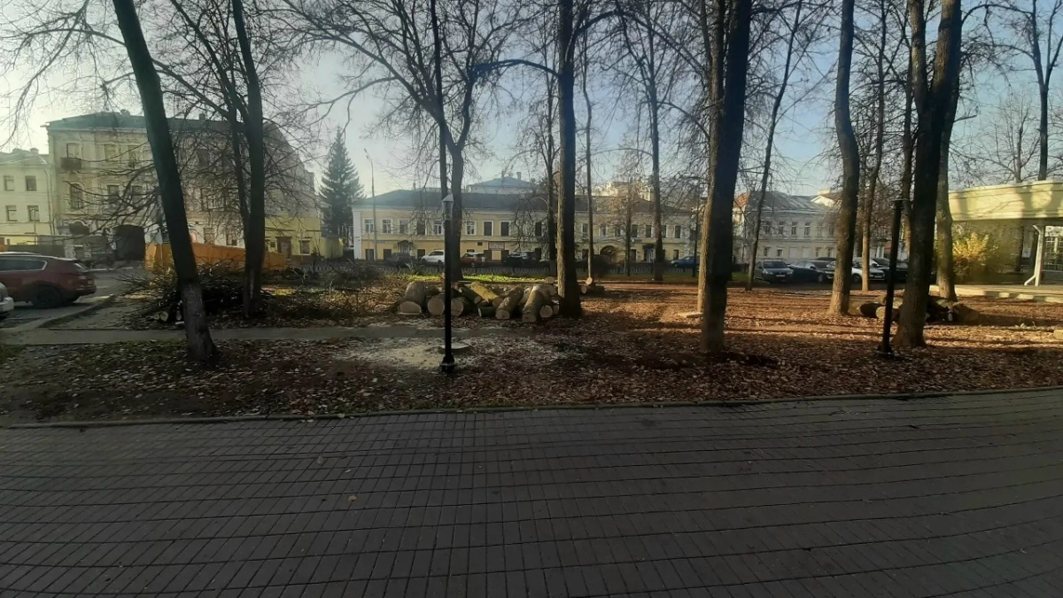 В Ярославле оштрафуют 15 водителей за захват газонов на Первомайском бульваре