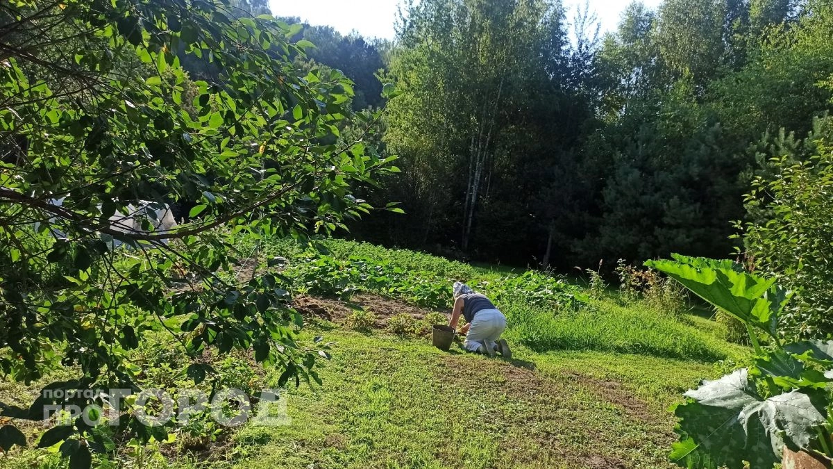 Ярославцы добровольно сдали государству 1,5 тысячи гектаров заросших угодий